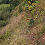 Zachodni stok Litwinki urywa się przepastnie nad Białką Tatrzańską.
