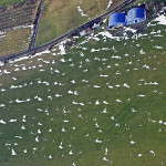 Tu jedynie lekko urozmaicona pierwszym śniegiem - grudzień 2009 